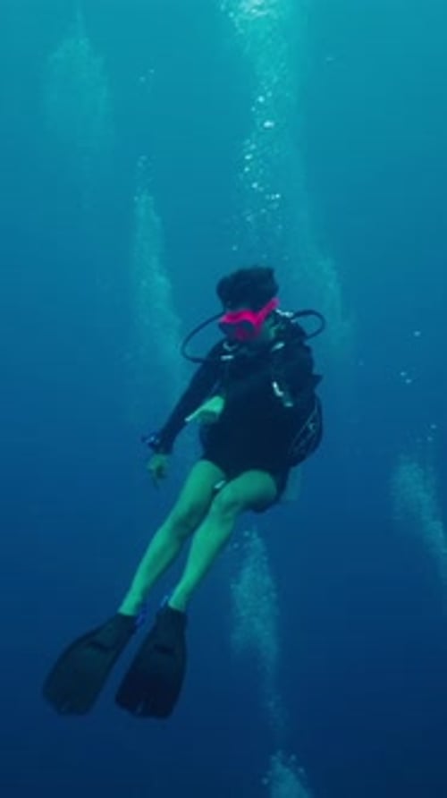 A Diver Indicates That He is Observing Something