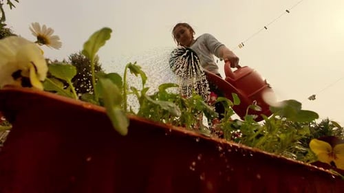 Woman Watering Spring Flowers in Backyard Using Red Watering Can Female Engaging in Relaxing
