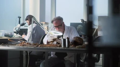 Scientists Examining Bones in a Bright Laboratory