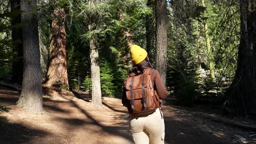 Jeune femme faisant de la randonnée et profitant du parc national de Sequoia en Californie