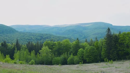 Panoramasicht auf die Berge, Wald, Tal im Sommer.