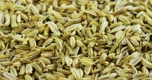 Macro shot of fennel seeds, used for homeopathic cures for diuretics and digestive problems. Welln