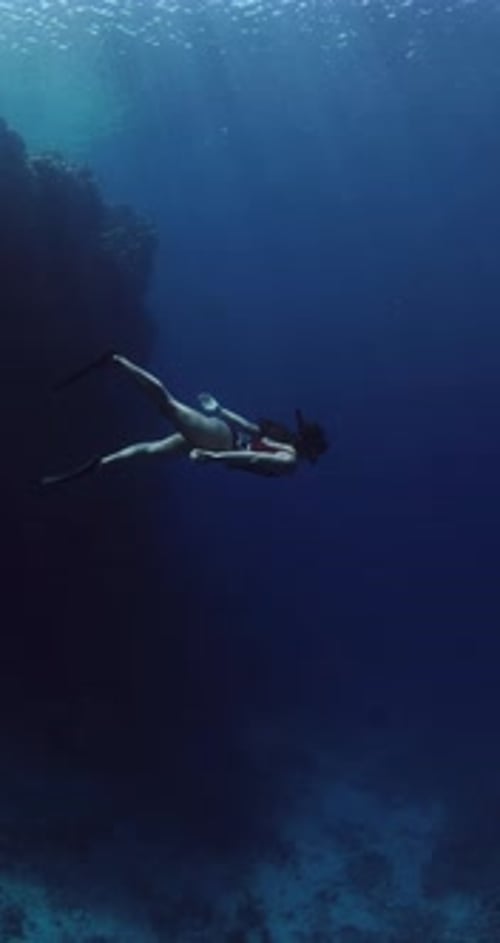 Freediver Swims Underwater in Blue Ocean Woman Freediving in Near Coral Reef Vertical Rocks