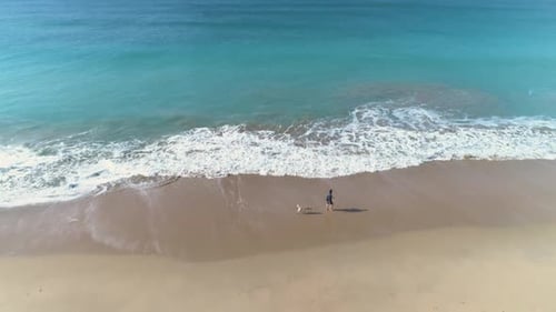 Aerial view flying over person walking a dog on the beach towards to blue ocean