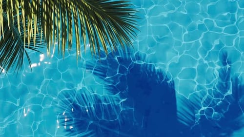 A tropical palm frond bent over the hotel pool water.