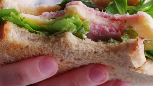 Close-Up of Hand Holding Delicious Sandwich
