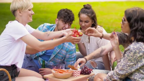 Friends Share Food at Picnic on Green Lawn