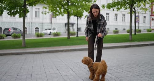 Woman Training Poodle in Urban Area