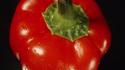 Top view of the rotating Sweet Red Pepper. Water drops close-up.
