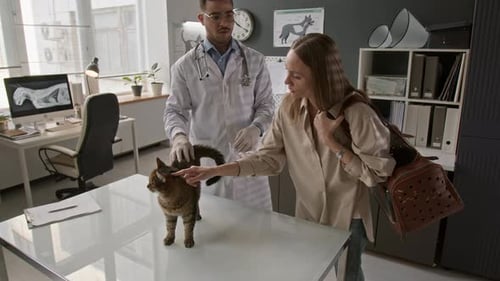 Veterinarian Examining Cat in Clinic with Owner