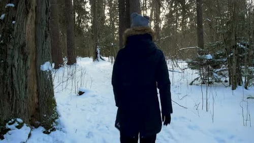 A young caucasian girl walking on winter forest trail in snow covered winter pine forest at sunny da