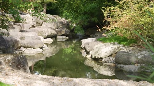 A quiet stream flows slowly between large rocks surrounded by trees.