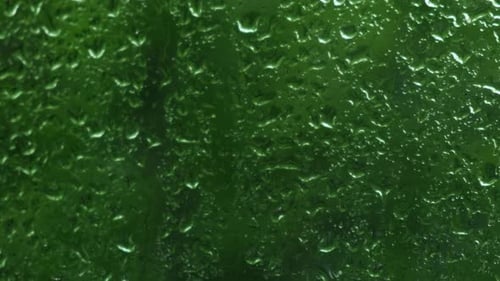 Starker Regen, strömender Schauer, Gewitter im Sommer, grüne Bäume im Hintergrund, windiges Regenwetter, geschlossen