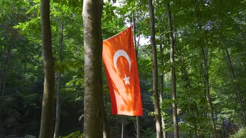 Turkish Flag Hanging in a Green Forest