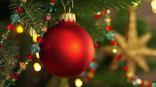 Christmas Decoration Red Ball on Branch of Christmas Tree New Year