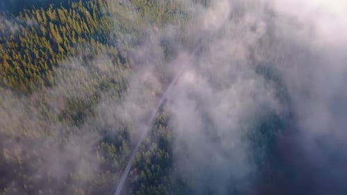 Aerial View Misty Forest Road in Autumn Travel Adventure
