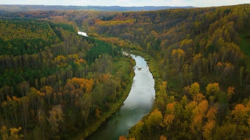 Aerial view of forest valley with river and autumn foliage. Vibrant fall season landscape ideal for