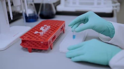 Gloved Hands Placing Test Tubes in Rack