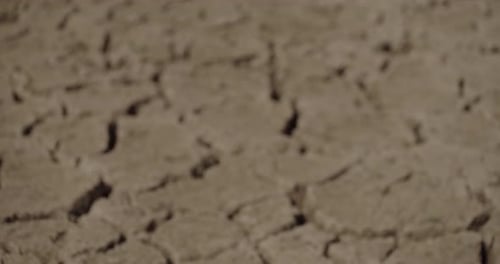 close up dry cracking soil after drought. arid cracked ground on the earth surface