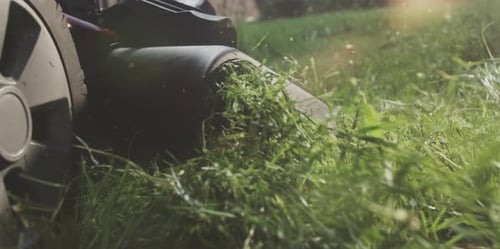 Couper le gazon avec une tondeuse à gazon