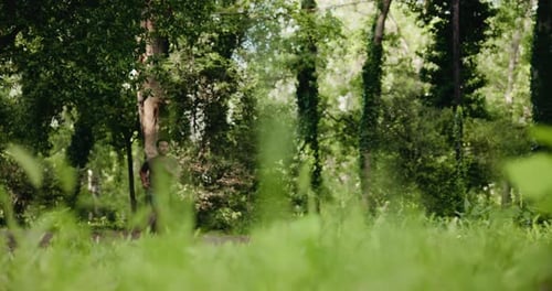 Nature, sports and man running in forest in morning for workout, training or wellness outdoor