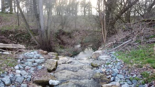 Inclinación descendente de un pequeño arroyo que fluye en el bosque. El agua fluye alejándose de la cámara, bajando por un camino
