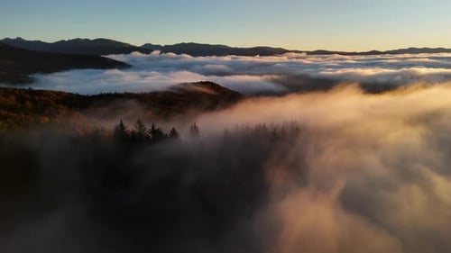 Sunrise over misty mountain peaks and lush forest covered in low clouds with warm morning light