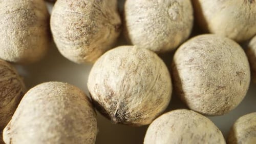 Granos de pimienta blancos a través de una lente de sonda.