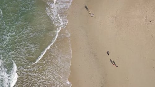 Two people and Two dogs walking on a sandy beach - Aerial follow footage.