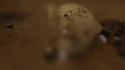Extreme Close-Up of Coffee Rippling