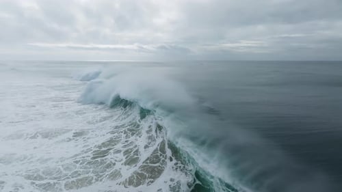 Aerial View of Waves and Flock of Seagulls, Guincho Beach, Cascais, Portugal.