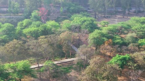 Aerial View of Green Urban Park with Walking Paths