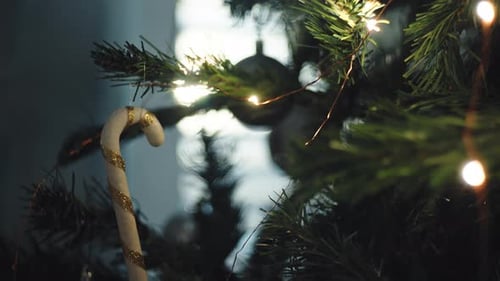 Decorated Christmas Tree with Ornaments and Lights