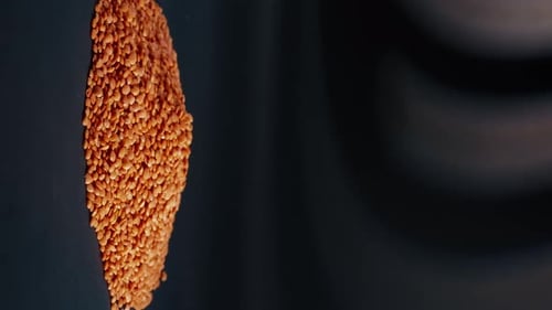 Close Up of Pile of Orange Lentils