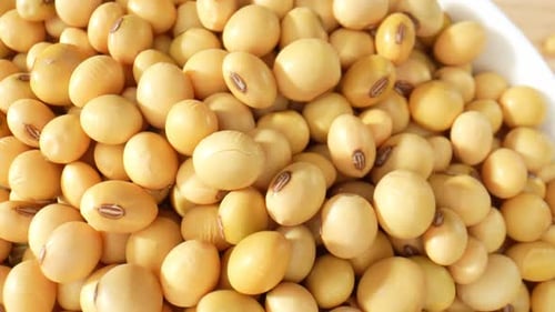 A macro video showcasing the details of soybeans