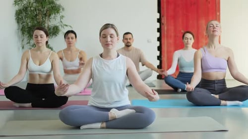 Yoga Mindfulness Meditation Group of Sporty People Doing Exercise in Studio for Class for Yoga