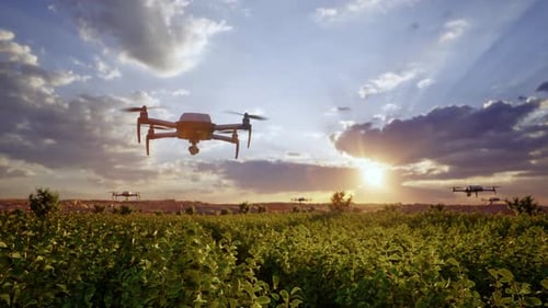 Agricultural Drones Flying Over a Green Crop Field at Sunset