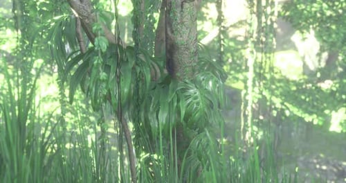 Lush Greenery Envelops a Sturdy Tree in a Tranquil Forest Setting