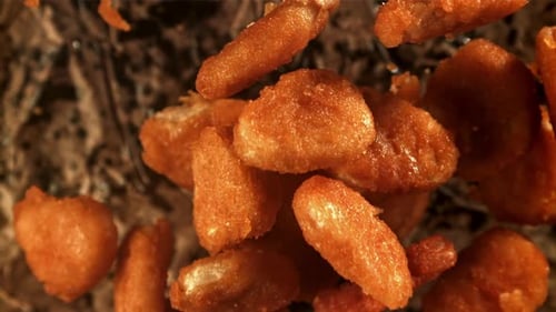 Chicken Nuggets Fly Up and Fall Down Filmed on a Highspeed Camera at 1000 Fps