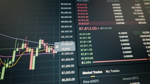 Cryptocurrency Trading Chart Fluctuates Live on Screen