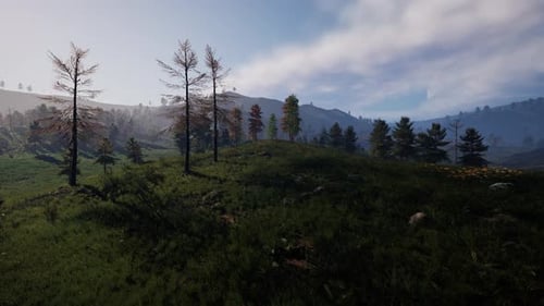 Swiss Alps with Green Alpine Meadow on a Hillside and Surrounded By Pine Forests