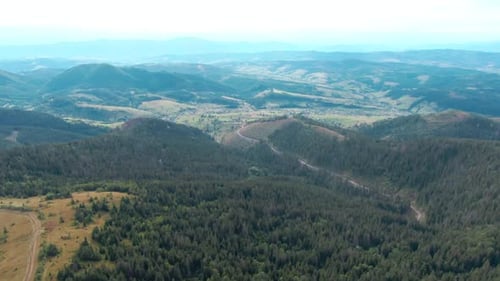 Wide Shot Aerial View of Carpathian Mountains with Green Coniferous Forest and Blue Peaks at