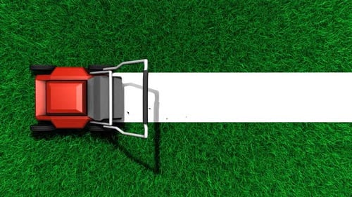 Vibrant Green Artificial Grass with White Stripe