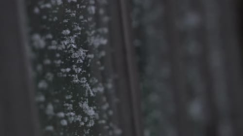 Frost on greenhouse glass.