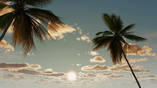 Beautiful sunset against the backdrop of palm trees and clouds. Landscape, nature weekend, vacation