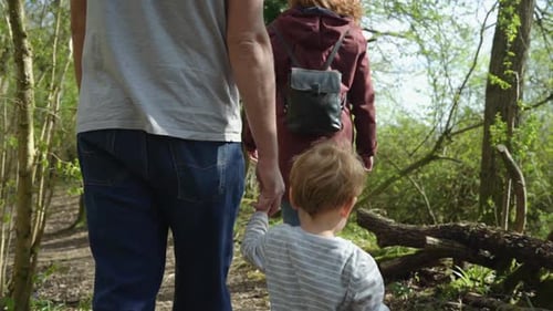 Toddler boy holds father's hand as they walk in forest, mid angle