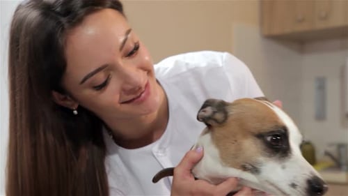 Woman Cuddling her White and Brown Dog