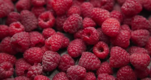Pile of Fresh Red Raspberries Close Up