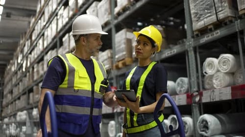 Logistics employees are working warehouse.