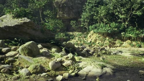La zone ombragée au bord de la rivière offre un abri à diverses espèces sauvages